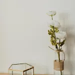 La S - De Standing 아파트 브롯츠헴